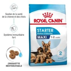 Royal Canin Vet Maxi Starter Mother And Babydog 4 Kg -Magasin De Fournitures Pour Chiens De Compagnie royal canin maxi starter mother and babydog 9 1