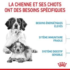 Royal Canin Medium Starter Mother And Babydog 4 Kg -Magasin De Fournitures Pour Chiens De Compagnie royal canin medium starter mother and babydog 2