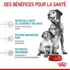 Royal Canin Medium Starter Mother And Babydog 4 Kg -Magasin De Fournitures Pour Chiens De Compagnie royal canin medium starter mother and babydog 3