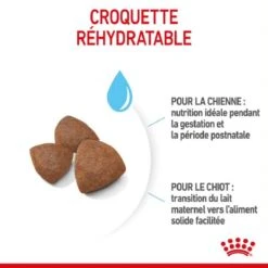 Royal Canin Medium Starter Mother And Babydog 4 Kg -Magasin De Fournitures Pour Chiens De Compagnie royal canin medium starter mother and babydog 4