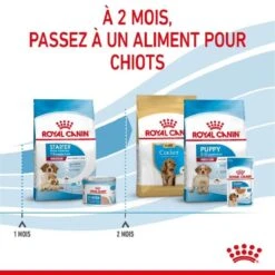 Royal Canin Medium Starter Mother And Babydog 4 Kg -Magasin De Fournitures Pour Chiens De Compagnie royal canin medium starter mother and babydog 5