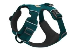 Ruffwear Harnais Front Range Turquoise L-XL -Magasin De Fournitures Pour Chiens De Compagnie ruffwear harnais front range vert5 2 1 1 1 1