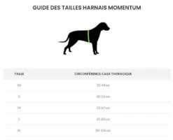 Kyflie Harnais Momentum Rouge XL -Magasin De Fournitures Pour Chiens De Compagnie tailles harnais kyflie momentum 9