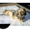 Tapis-Moquette Anti Escarres Pour Chien 50 X 50 Cm -Magasin De Fournitures Pour Chiens De Compagnie tapis mosquette