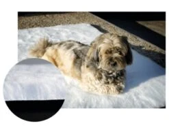 Tapis-Moquette Anti Escarres Pour Chien 50 X 50 Cm