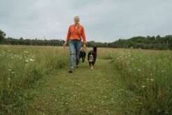 Tickless Human Vert à Pile 4 Tickless Human Vert à Pile -Magasin De Fournitures Pour Chiens De Compagnie tickless human vert pile3