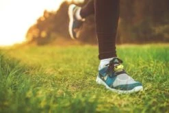 Tickless Run Rechargeable -Magasin De Fournitures Pour Chiens De Compagnie tickless run vert rechargeable3