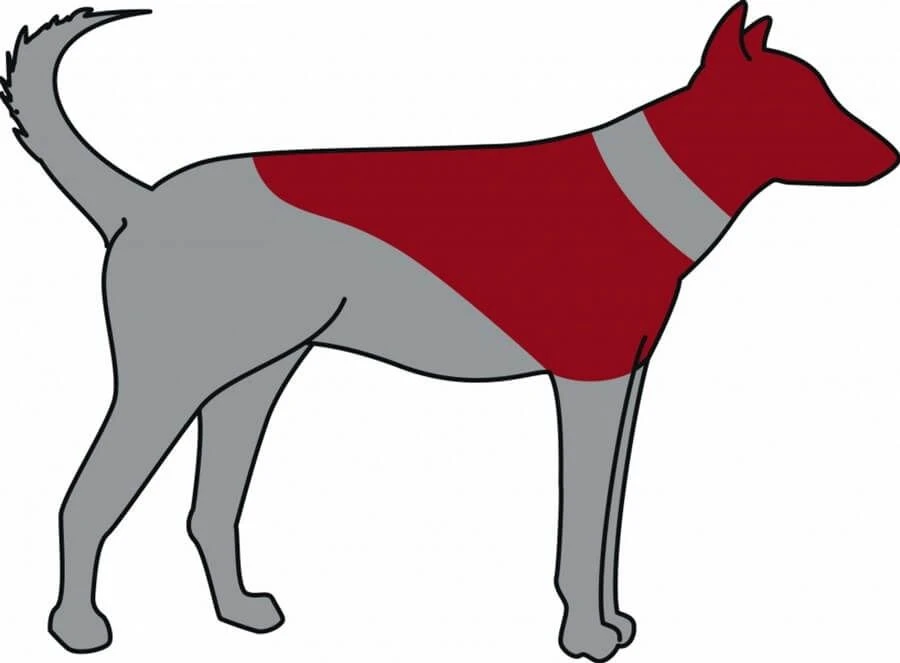 Trixie Carcan gonflable pour chien L-XL Trixie Carcan Gonflable Pour Chien L-XL -Magasin De Fournitures Pour Chiens De Compagnie trixie carcan gonflable pour chien l