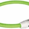 Trixie Collier Lumineux USB Flash Vert Chien M-L -Magasin De Fournitures Pour Chiens De Compagnie trixie collier lumineux safer life usb flash vert pour chien m l
