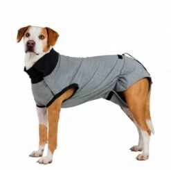 Trixie Body De Protection Pour Chien M -Magasin De Fournitures Pour Chiens De Compagnie trixie body de protection pour chien m3