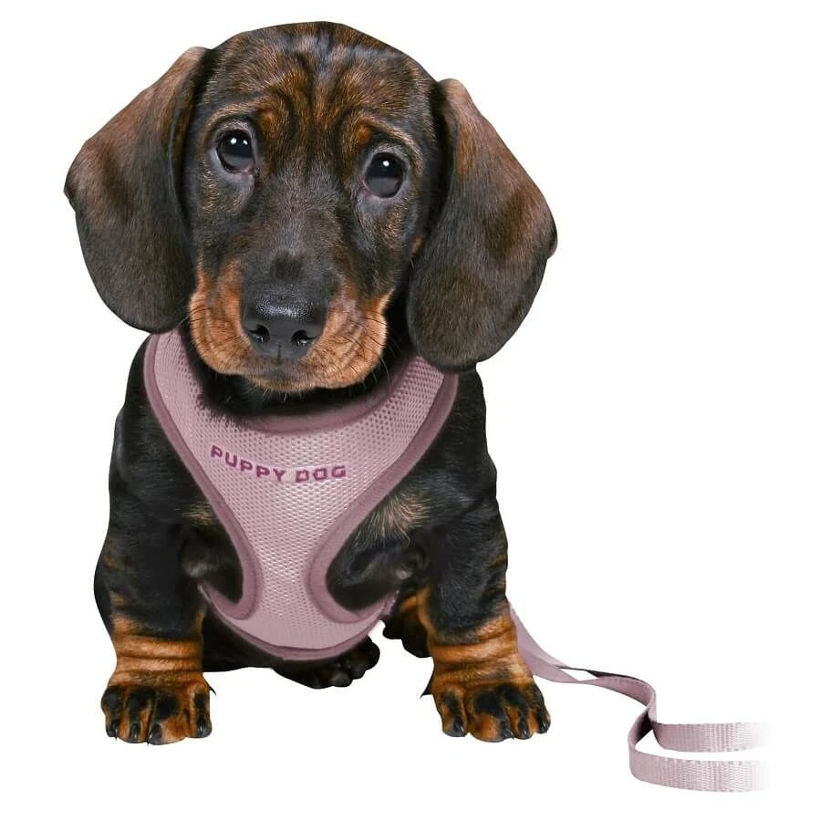 Trixie Harnais Souple avec Laisse rose Chiot M-L Trixie Harnais Souple Avec Laisse Rose Chiot M-L -Magasin De Fournitures Pour Chiens De Compagnie