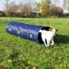Trixie Tunnel Agility 40 Cm / 2 M 2 Trixie Tunnel Agility 40 Cm / 2 M -Magasin De Fournitures Pour Chiens De Compagnie tunnel1 1 1