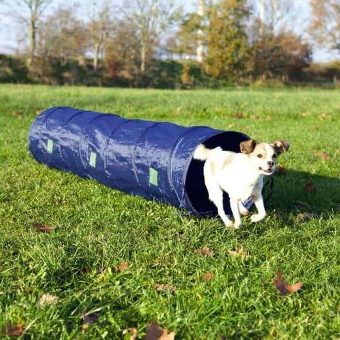 Trixie Tunnel Agility 40 cm / 2 m Trixie Tunnel Agility 40 Cm / 2 M -Magasin De Fournitures Pour Chiens De Compagnie tunnel1 1 1