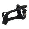 Zero DC Harnais Short Chien Noir S -Magasin De Fournitures Pour Chiens De Compagnie zero dc harnais short chien noir s