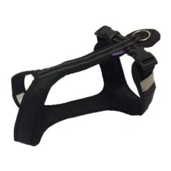 Zero DC Harnais Short Chien Noir S