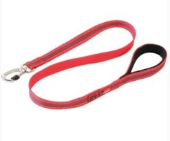 Zolux Laisse MOOV Rouge 20 Mm